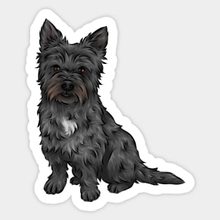 Black Cairn Terrier Dog Sticker